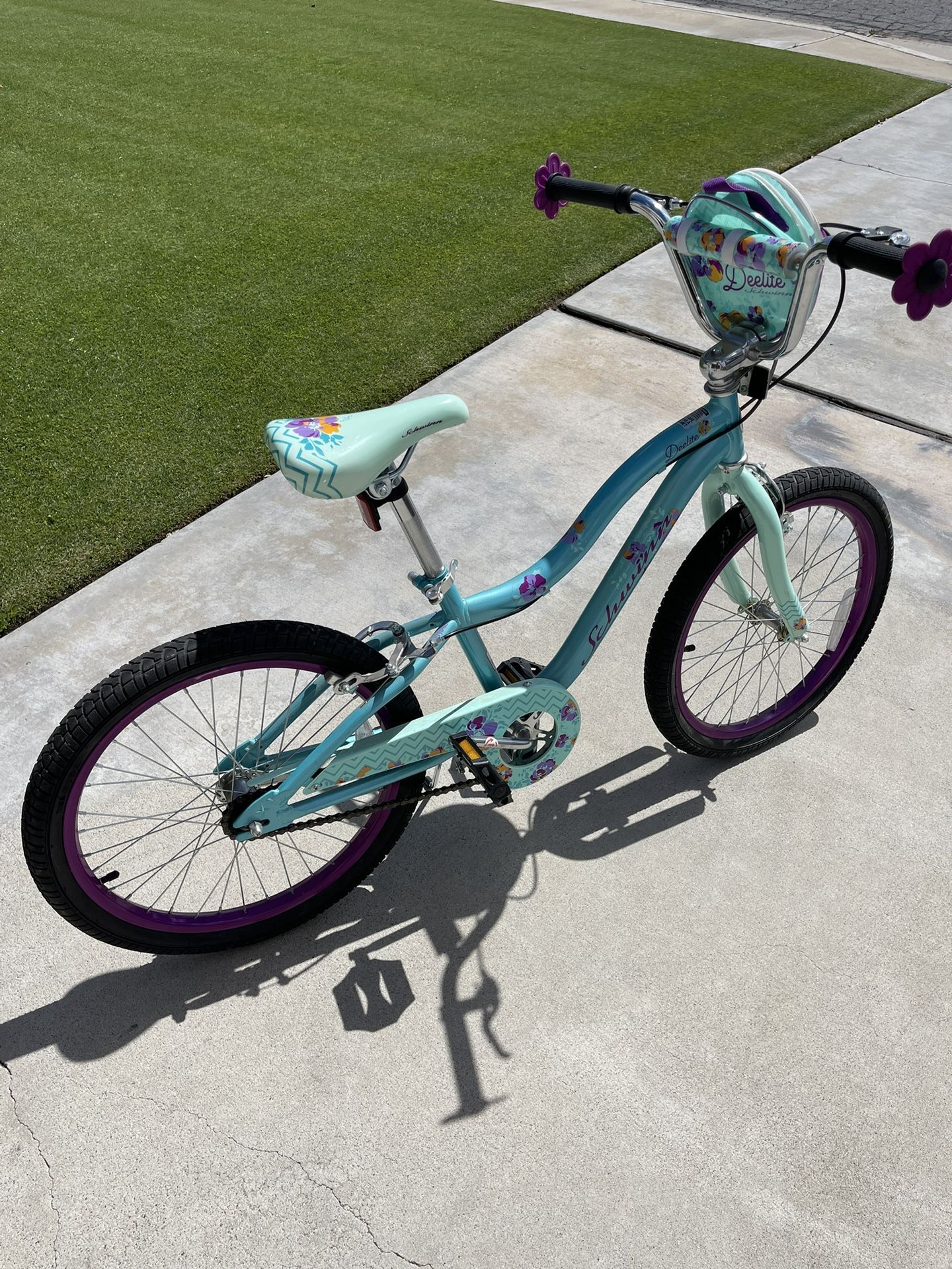 Schwinn 20” Deelite Girl Bike 