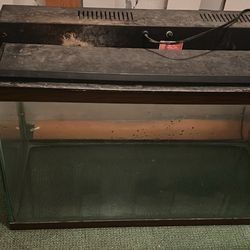 Fish aquarium