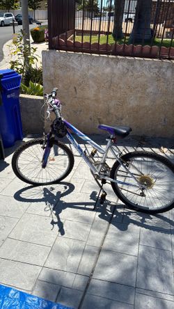 Ladies Bike