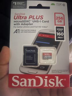 SanDisk Ultra Plus 256 GB