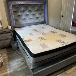Bed  Quinn