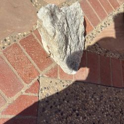 Rock For Sale 