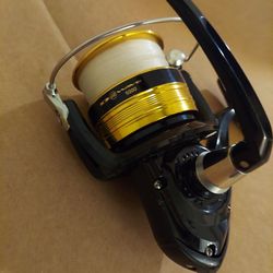 Daiwa Saltwater Reel
