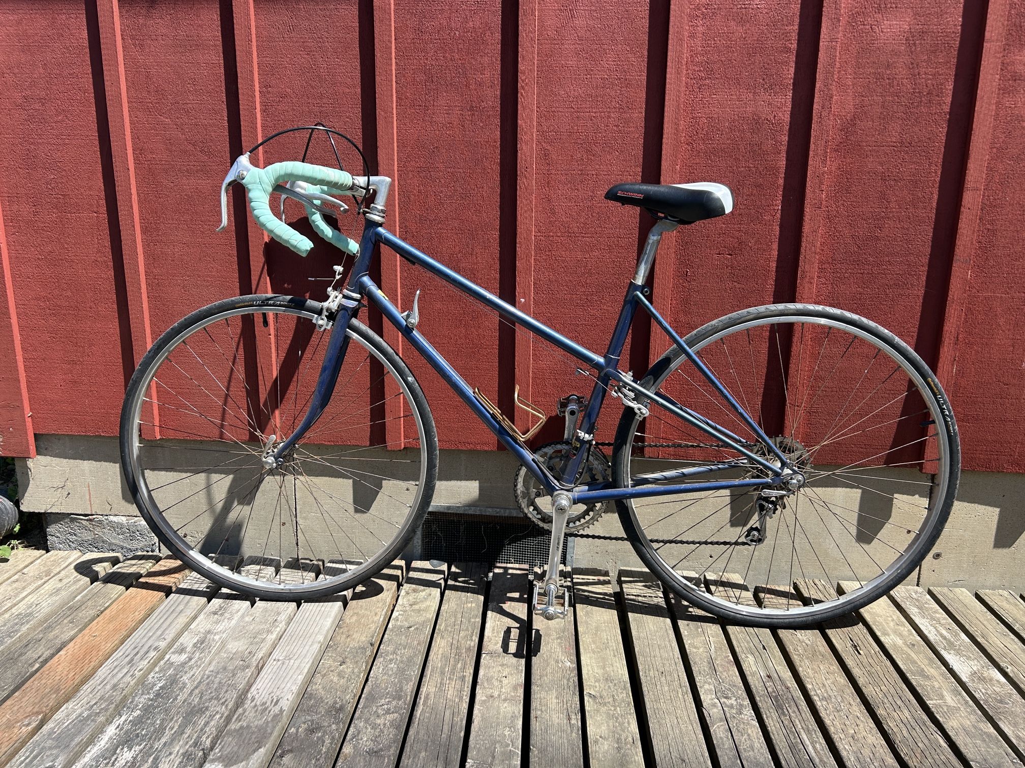 Schwinn, 12 Speed