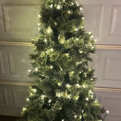 6 Ft Tree
