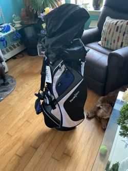 Golf stand bag ( brand new )