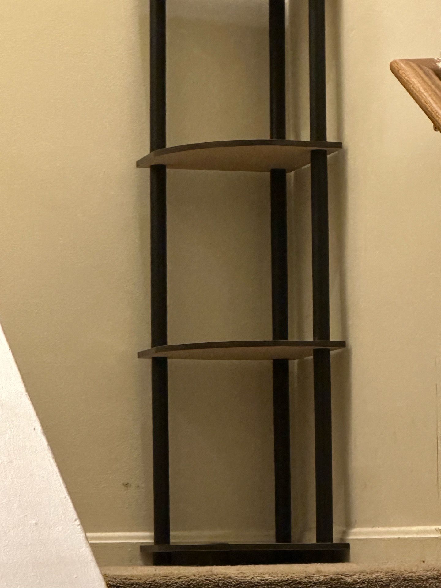 Corner Shelf•(FREE)