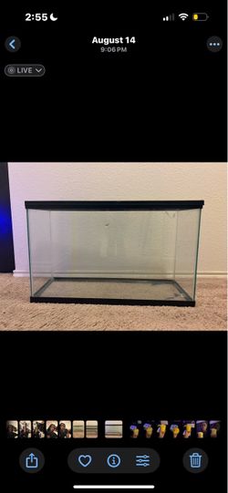 20 gallon high aquarium