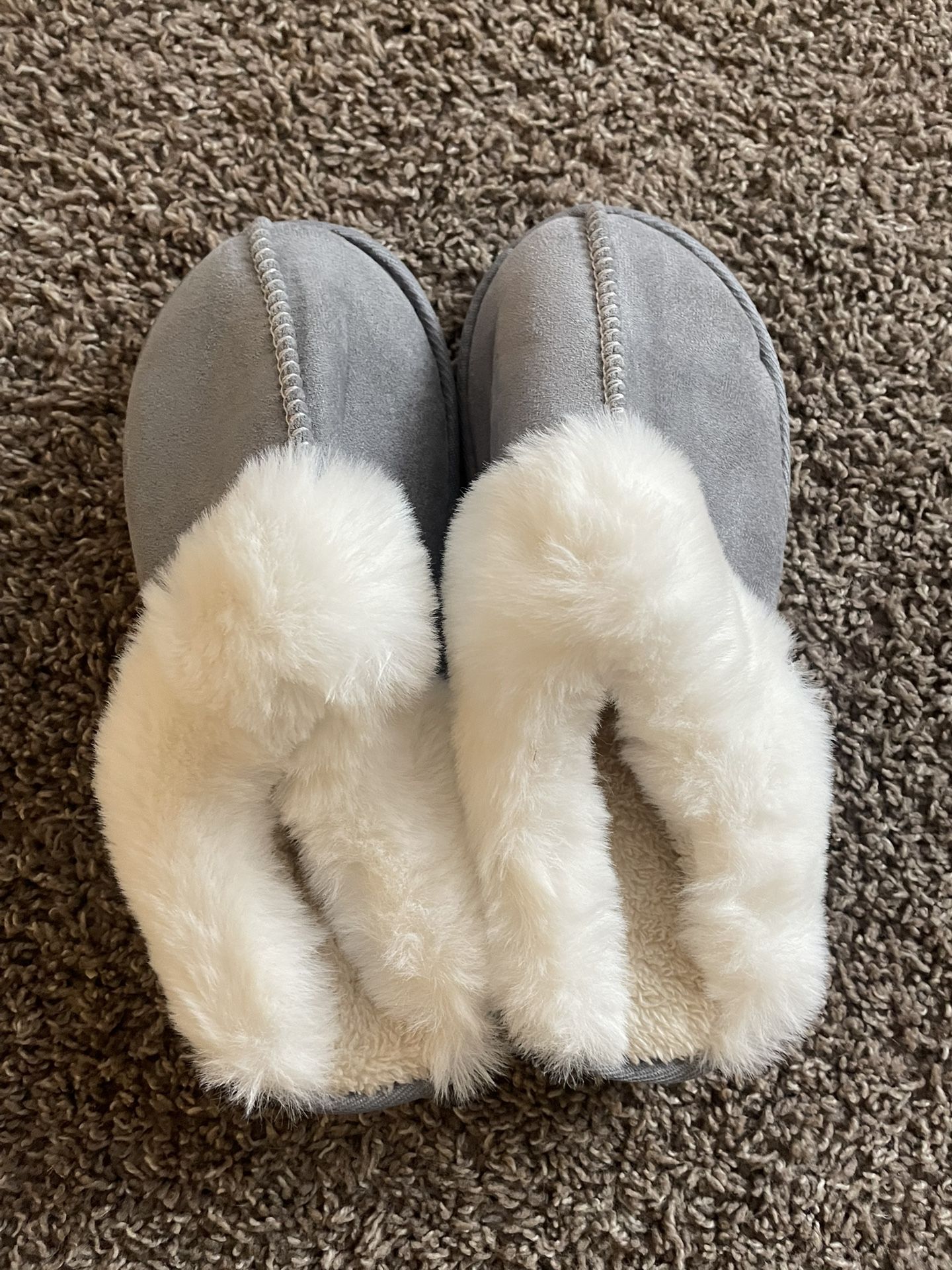 Grey Slipper
