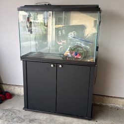 Fish Tank 