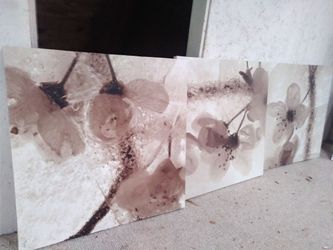 3 Canvas 22 pulgadas(inches)