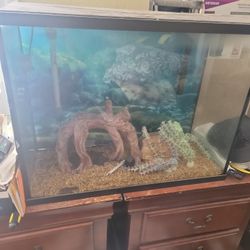Top Fin 37 Gallon Fish Tank With Accessories 