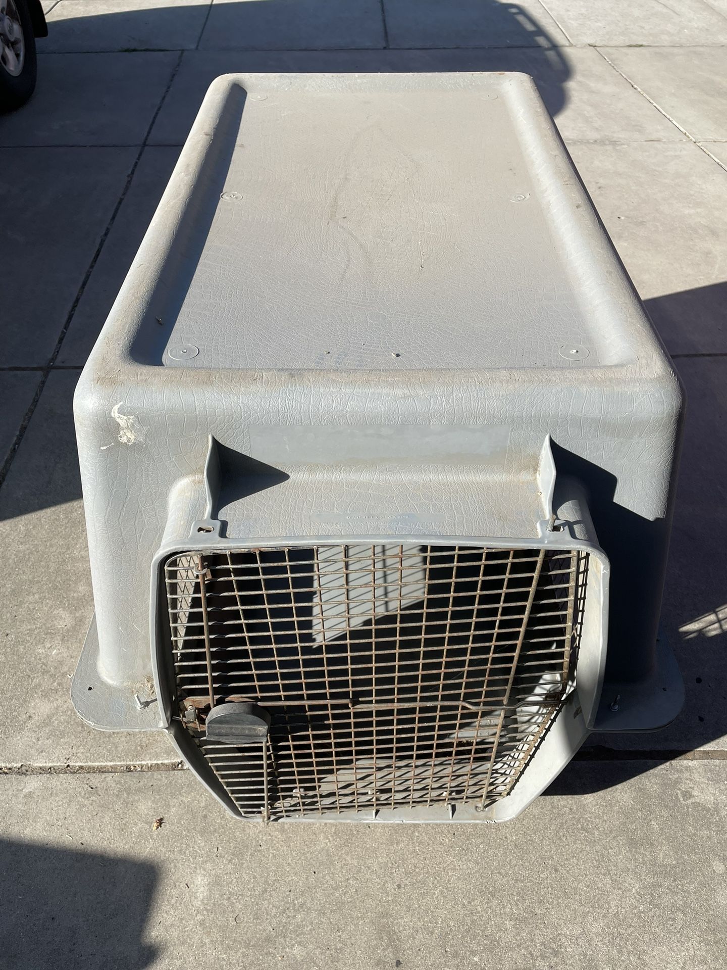 Xl Dog Kennel