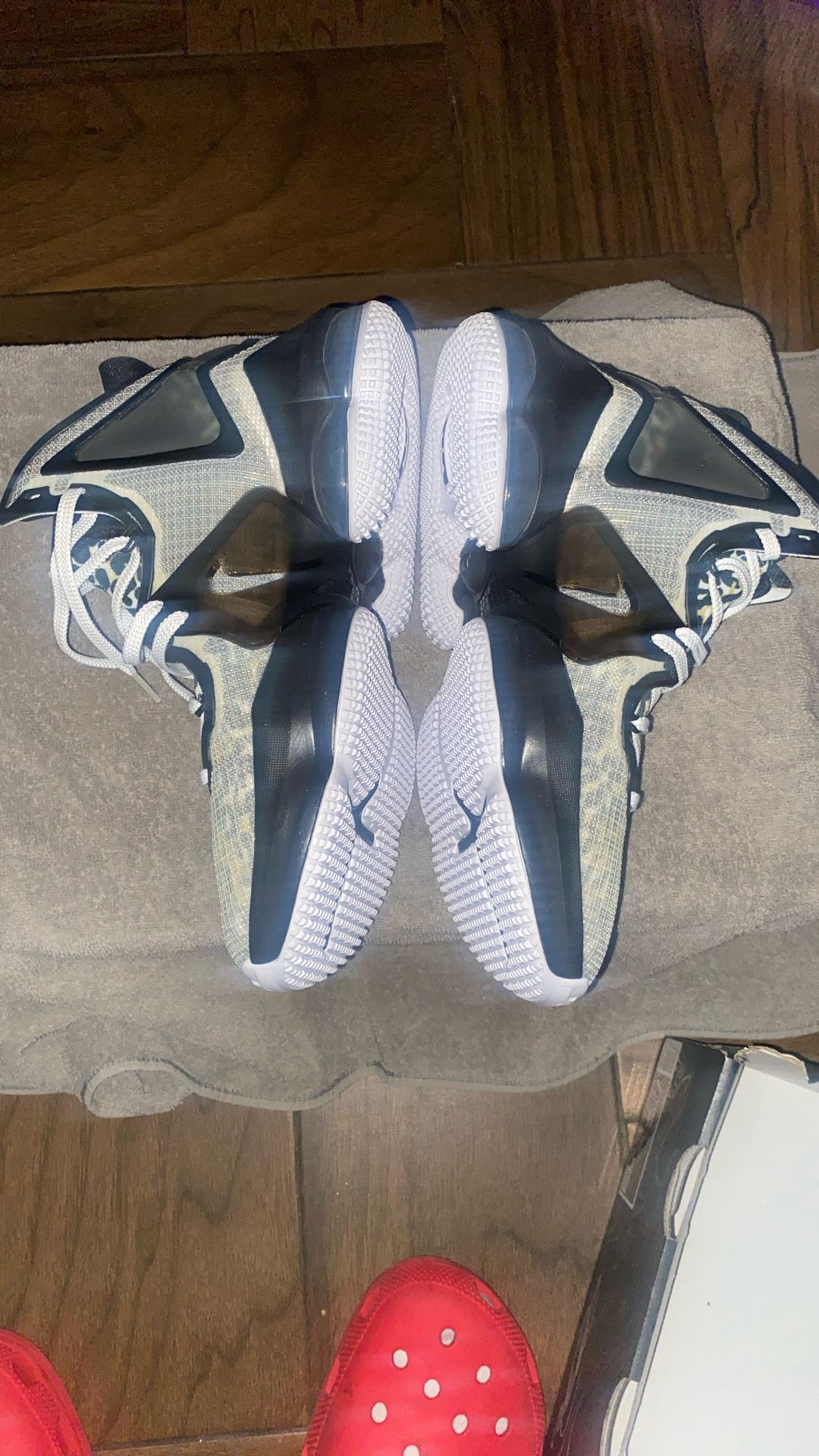 LEBRON 19 SE GS 'WHITE METALLIC GOLD'