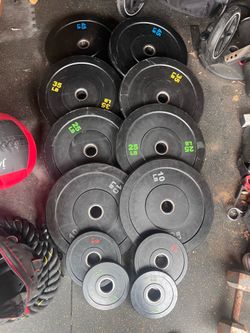 Olympic Weights Bumper weights