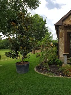 Jardines
