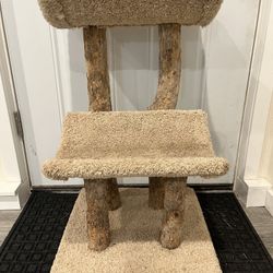 Cat Scratch and Hangout 