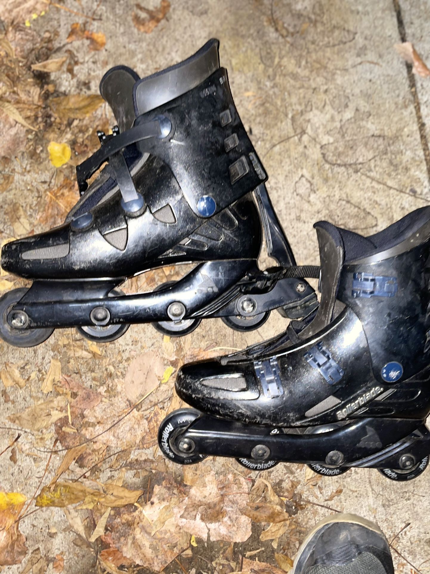 Roller Blades
