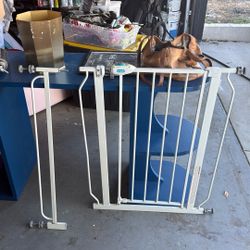 Baby Gate