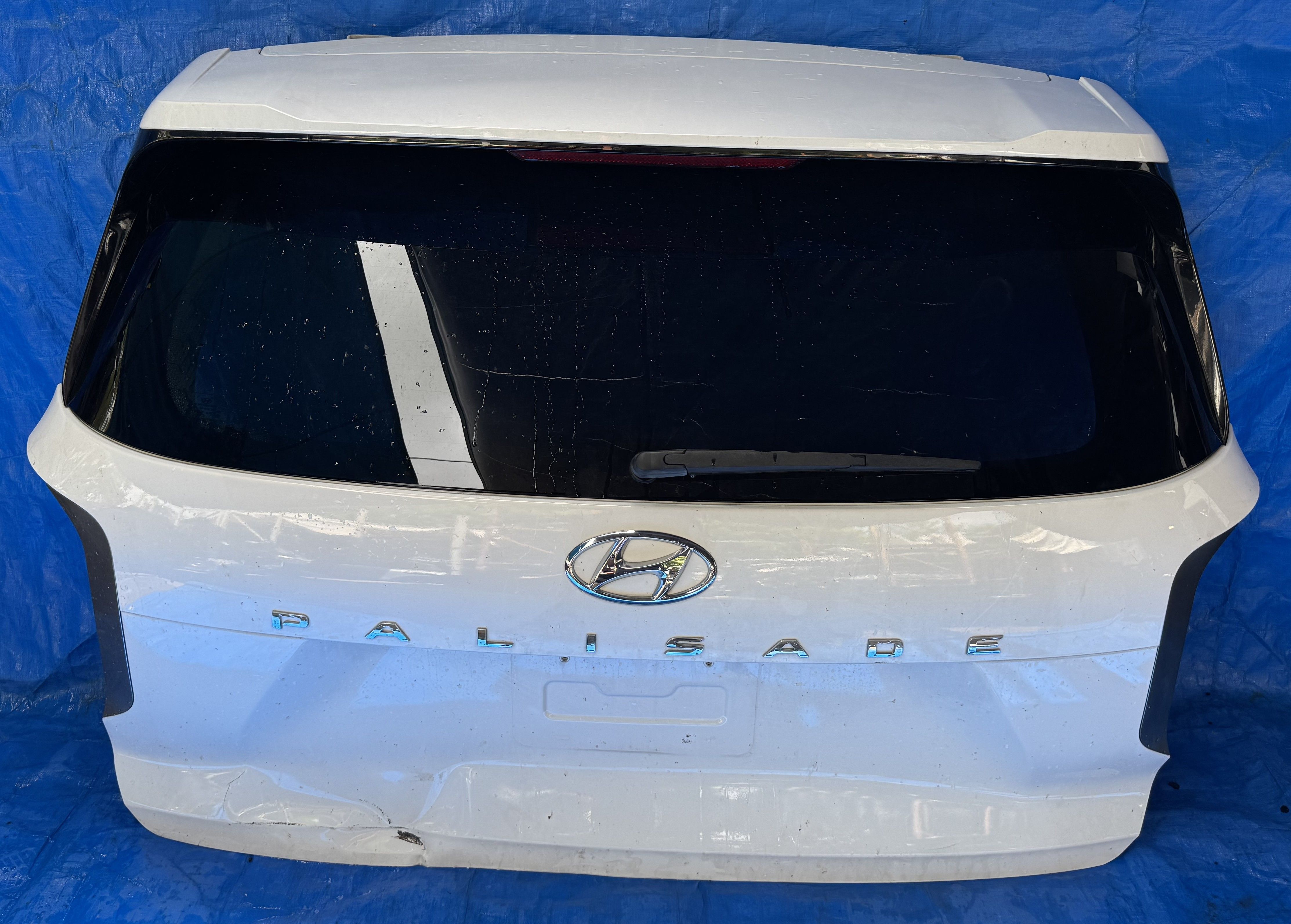 PALISADE TRUNK LID TAILGATE LIFTGATE HATCH ASSEMBLY WHITE WC9 20-23