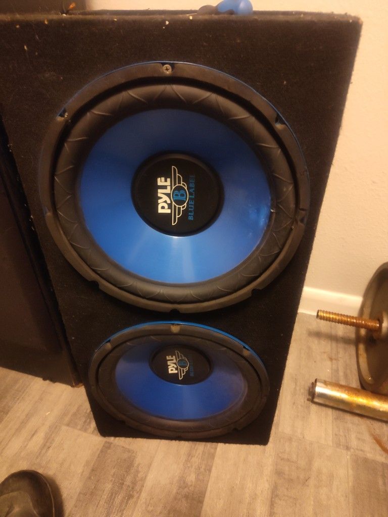 10" Sub Woofer