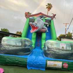 22FT Double WaterSlide For Sale 
