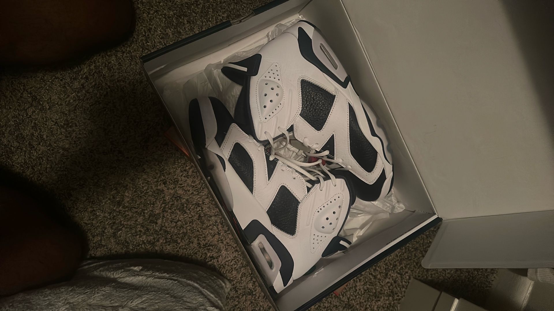 Olympic Retro Jordan 6