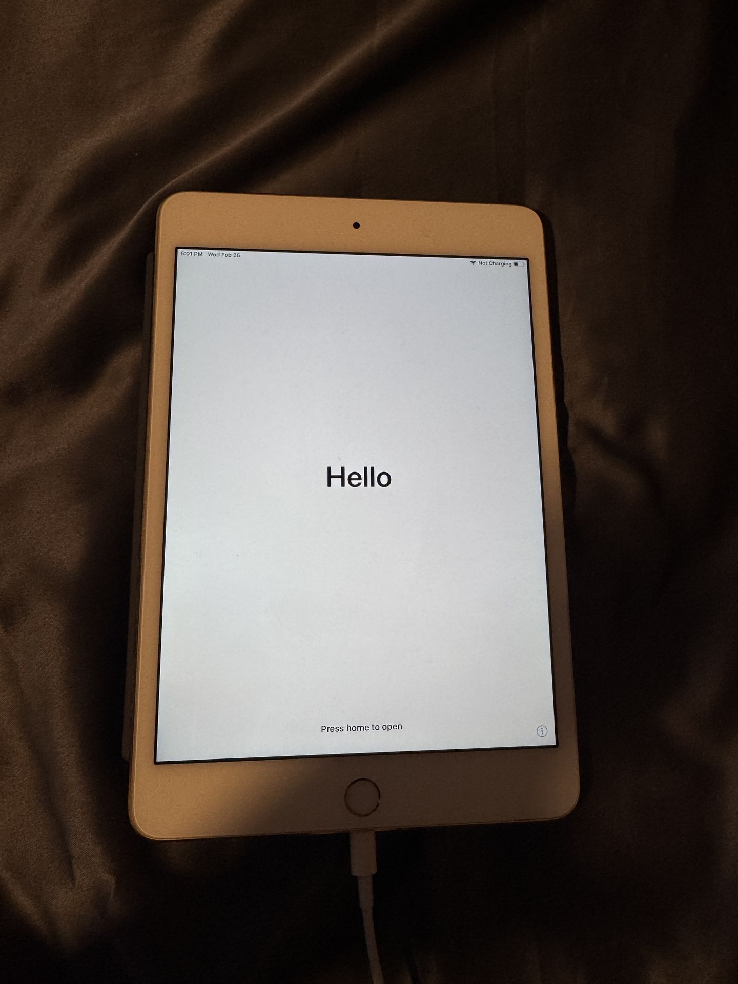 ipad Mini 4
