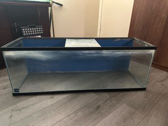 75 Gallon Tank
