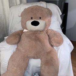 Gient Teddy Bear