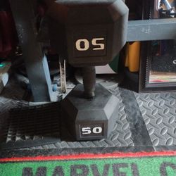 50 Pound Dumbbells 
