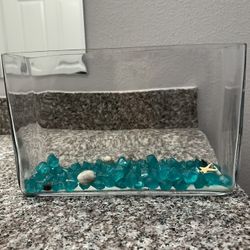 Glass Vase/Tank