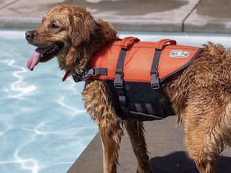 Granby Splash Life Jacket Comfortable, secure fit for safe water fun