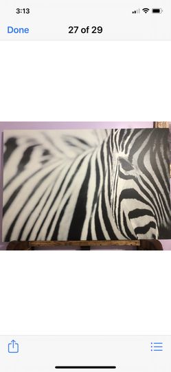 Zebra Paint