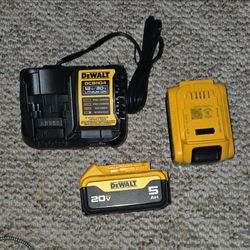 DeWalt 20V 5Ah Battery 2pk and DCB1104 Charger