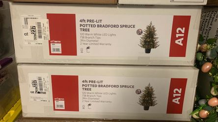 At Home (A12) Pre-Lit LED Potted Bradford Spruce Christmas Tree, 4'