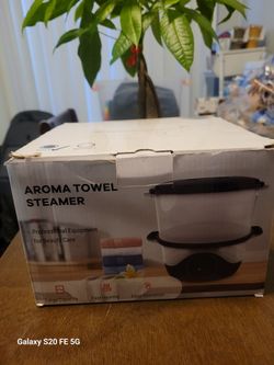 Towel Steamer
