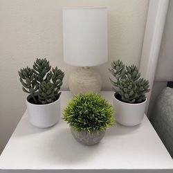 Artificial Potted Plants 