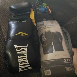 Everlast boxing gloves brand new