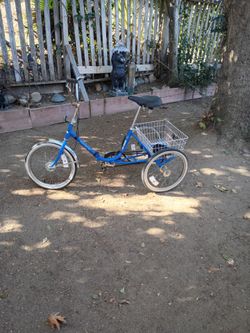 Workman's three-wheeler folding bike
