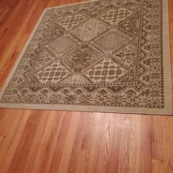 6 Ft Square Area Rug