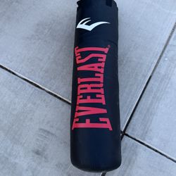 70 Lb. Everlast Punching bag 