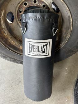 Everlast Mini Boxing Bag