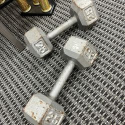 25 Pound Dumbbell Set 25 Lbs Weights