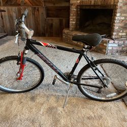 Novara Aspen Bike