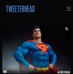 Superman Large Bust