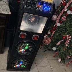 Party Speaker 