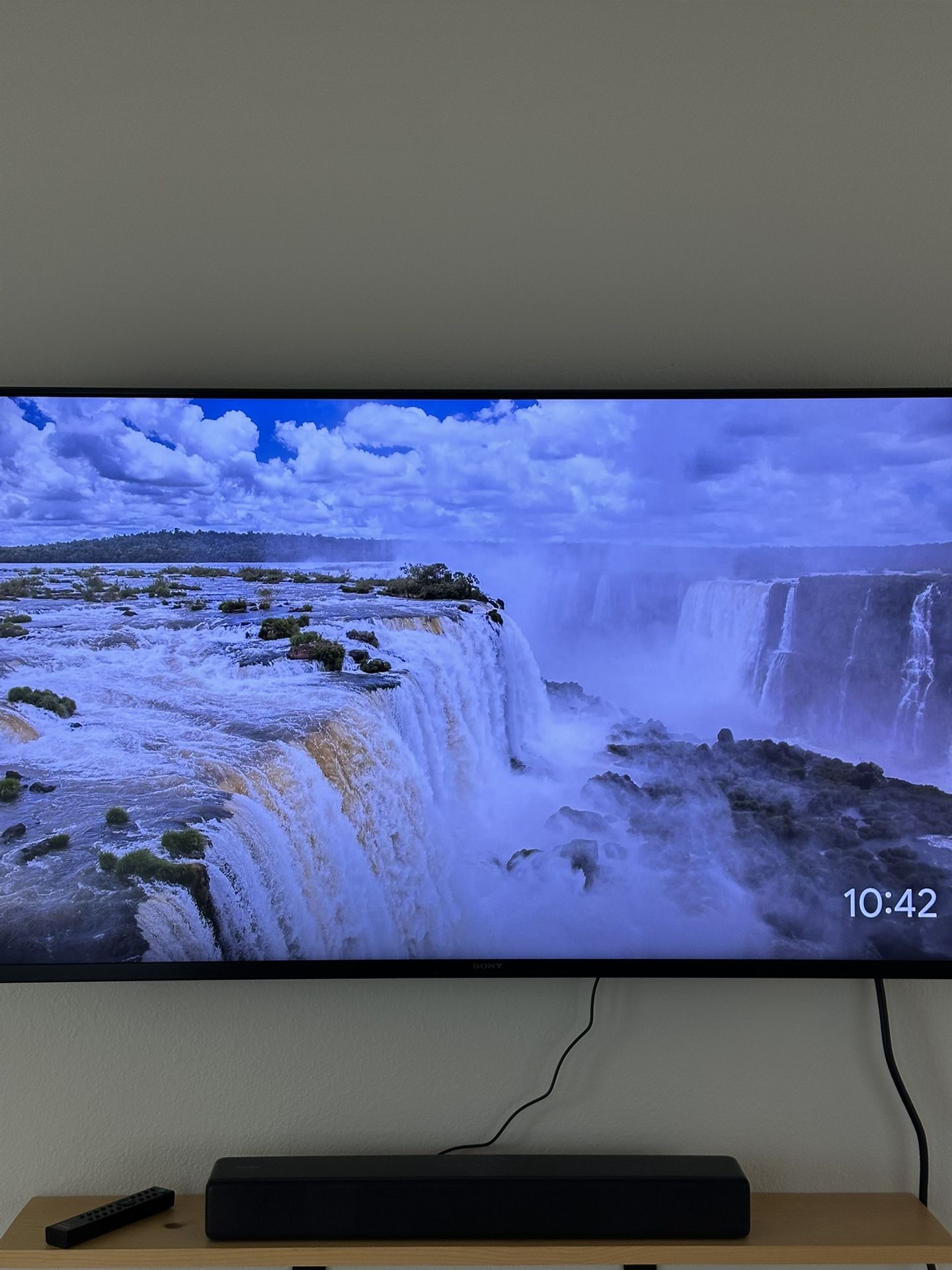 Sony 50 Inch Bravia TV