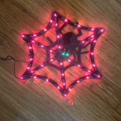Rare Lighted Indoor Outdoor Halloween Decoration Spider Web *Pick-up In Great Bridge*