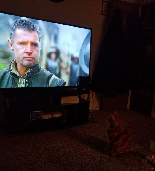 65' Vizio Tv 